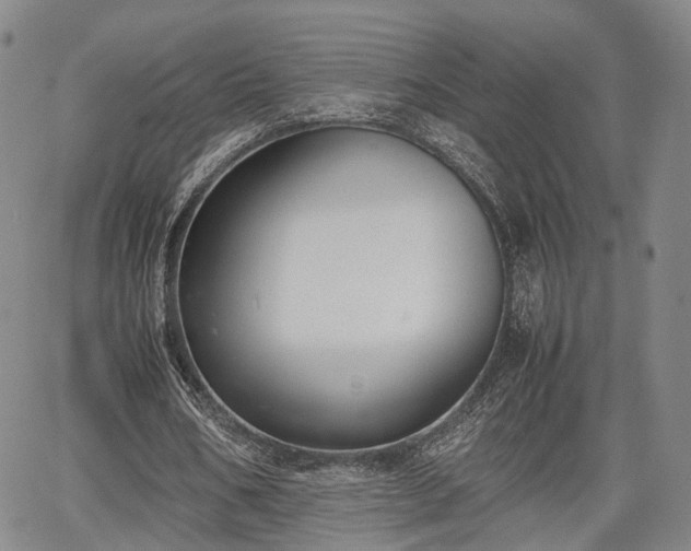 X0000067360578200604071418