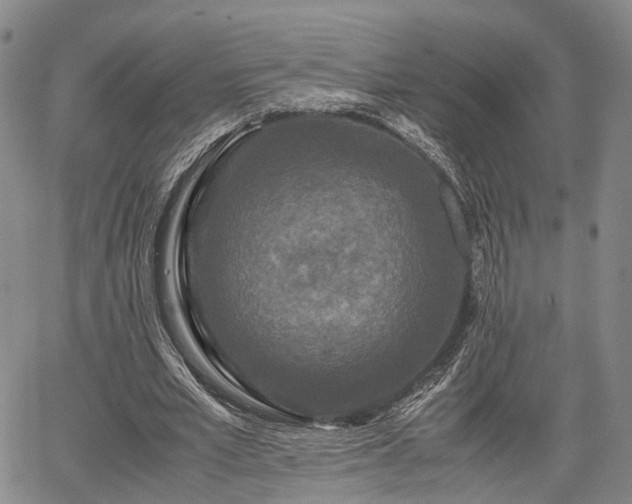 X0000067360581200604071418