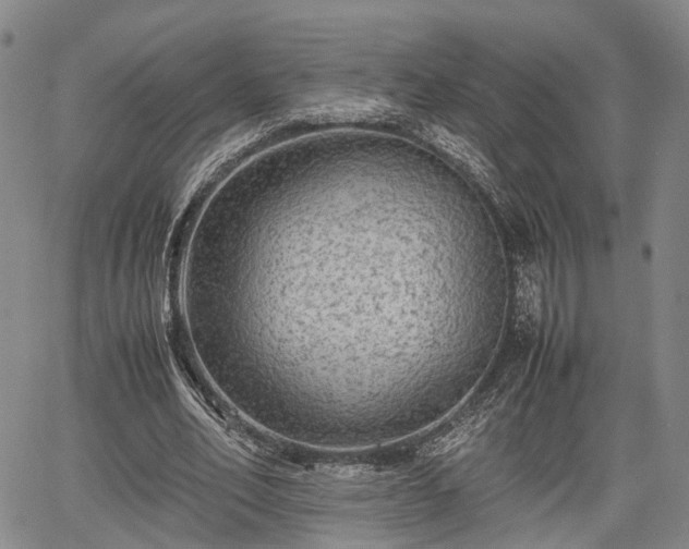 X0000067360582200604071418