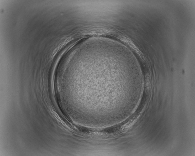 X0000067360585200604071418