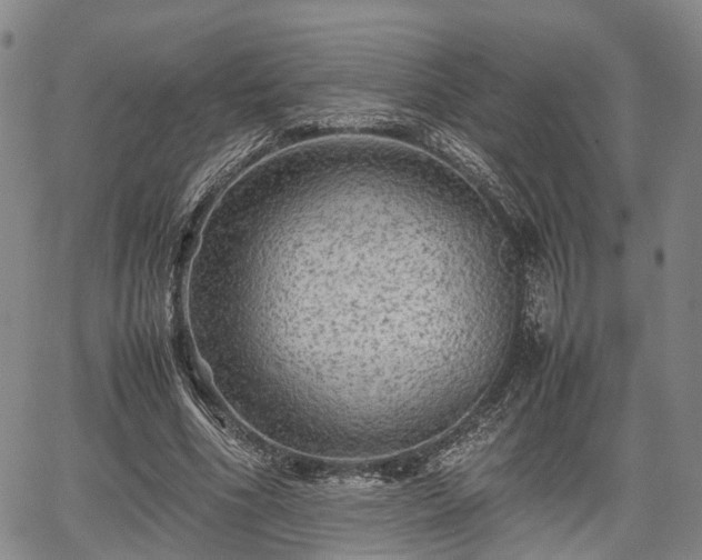 X0000067360586200604071418