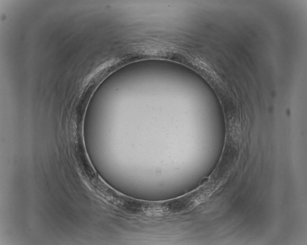 X0000067360587200604071418