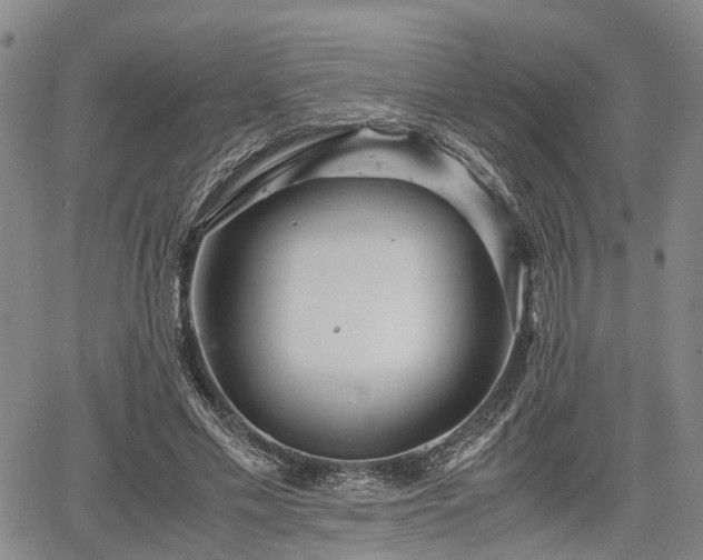 X0000067360589200604071418