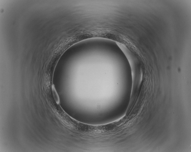 X0000067360593200604071418