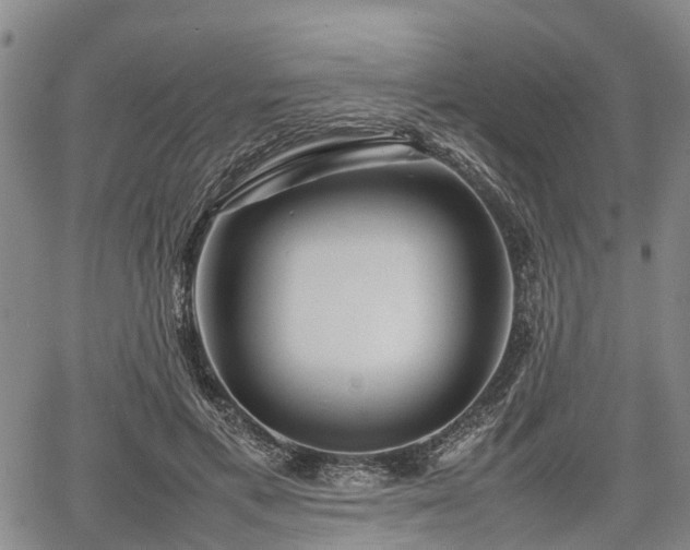X0000067360597200604071418