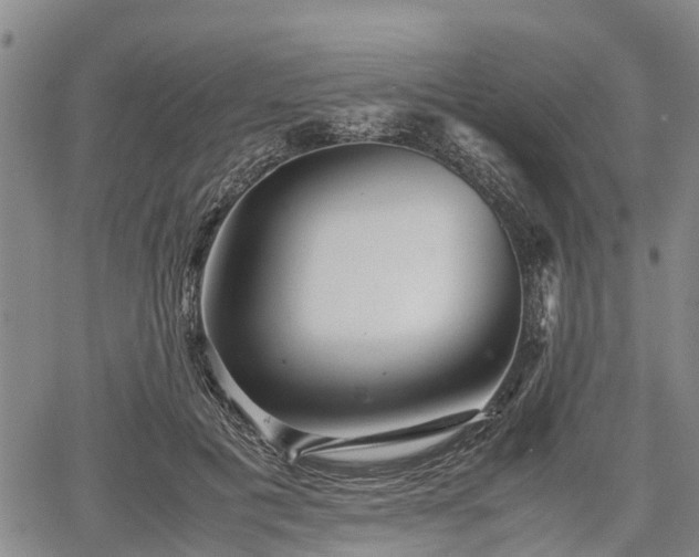 X0000067360601200604071417