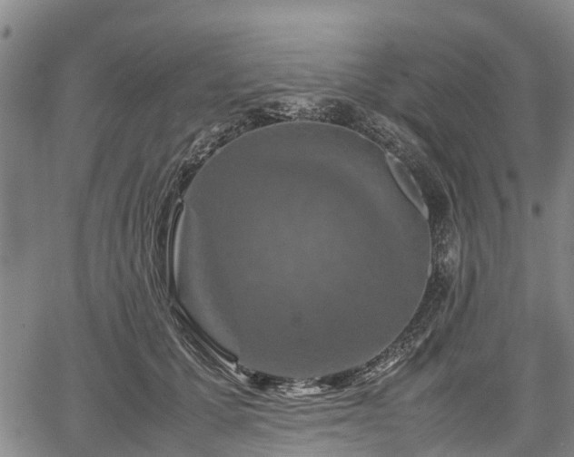 X0000067360607200604071417
