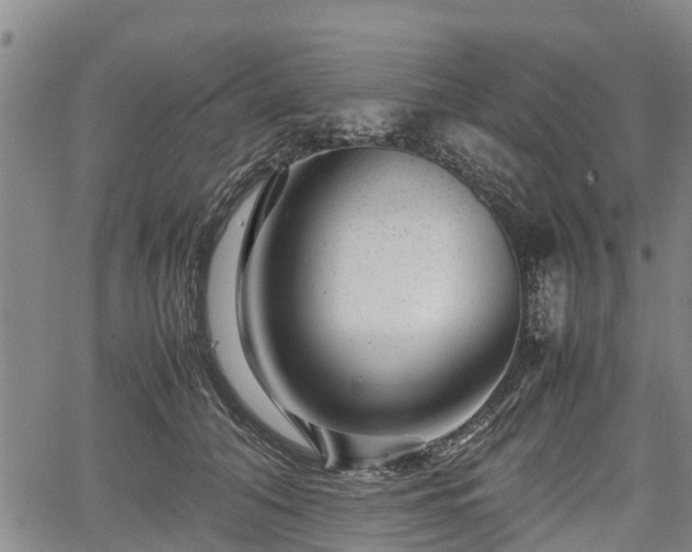 X0000067360608200604071417