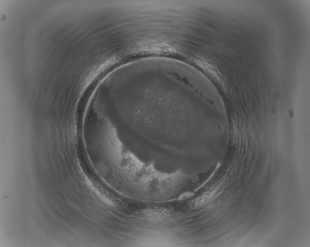 X0000067360630200604071416