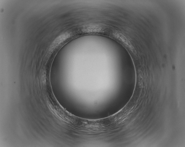 X0000067360631200604071416