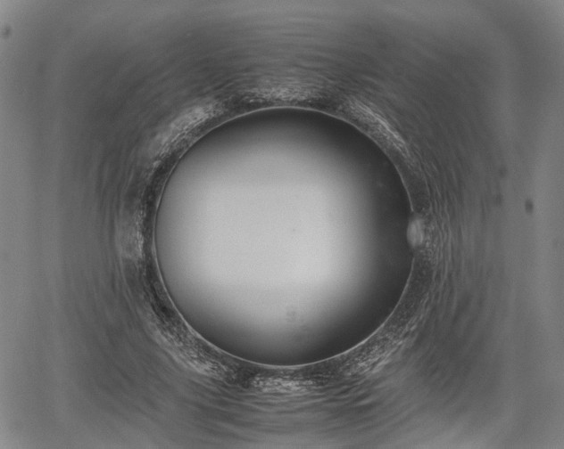 X0000067360635200604071416