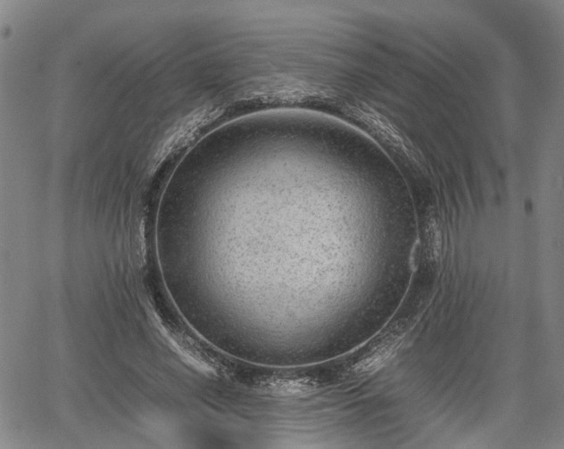 X0000067360638200604071416