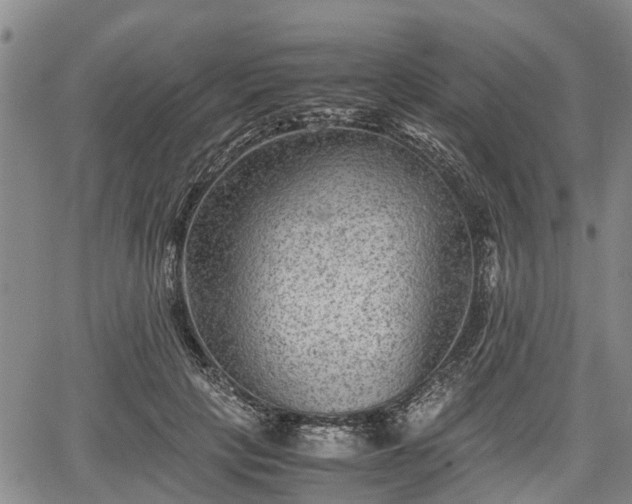 X0000067360649200604071417