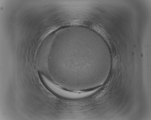 X0000067360673200604071416