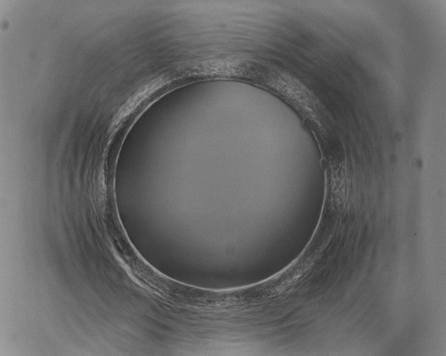 X0000067360674200604071416