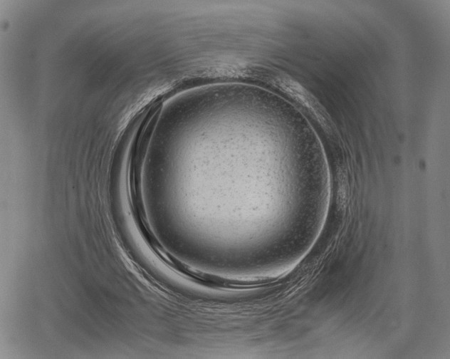 X0000067360677200604071416
