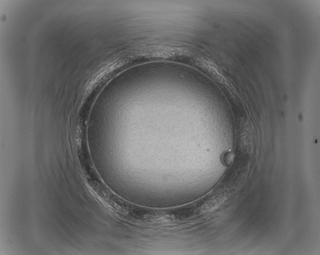 X0000067360683200604071416