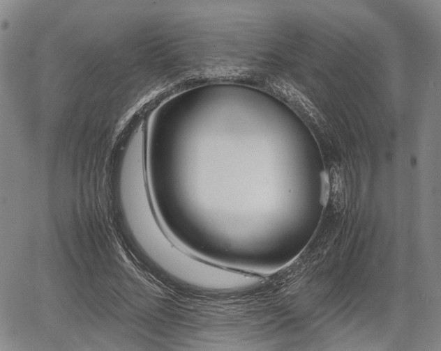 X0000067360684200604071416