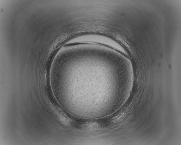 X0000067360685200604071416
