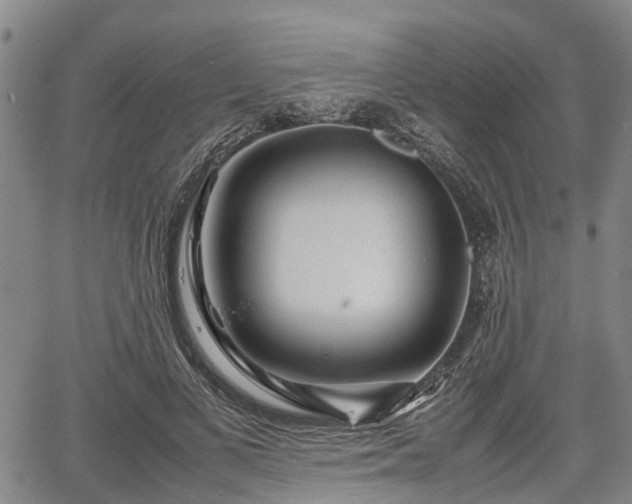 X0000067360693200604071416