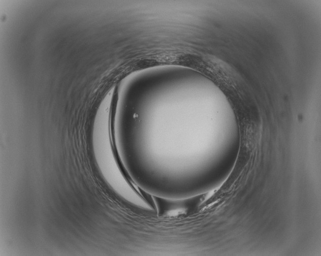 X0000067360697200604071416