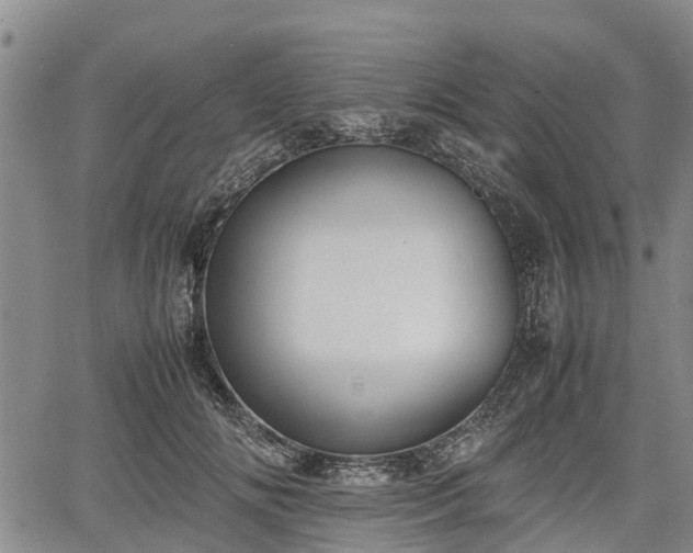 X0000067360702200604071416