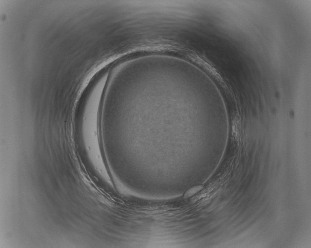 X0000067360724200604071415