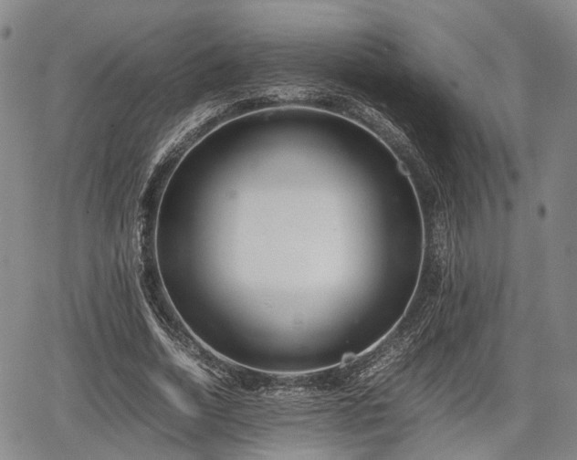X0000067360730200604071415