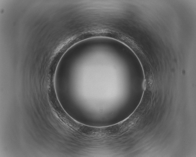 X0000067360732200604071415