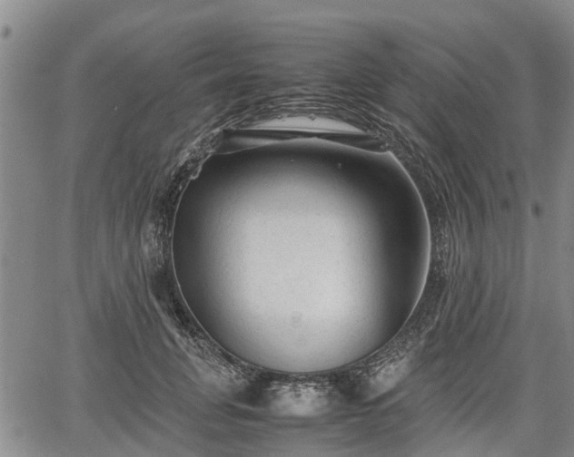 X0000067360751200604071415