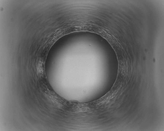 X0000067360770200604071415