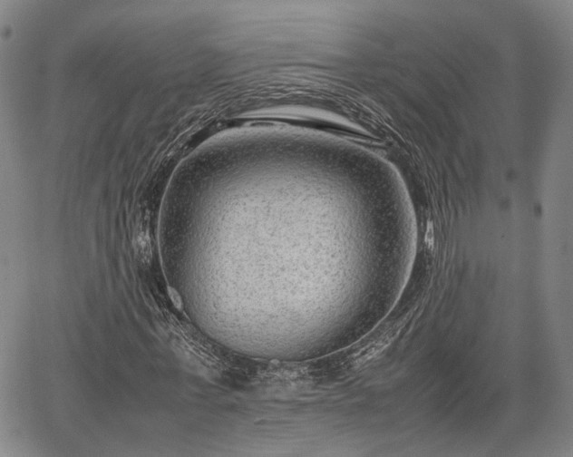 X0000067360771200604071415