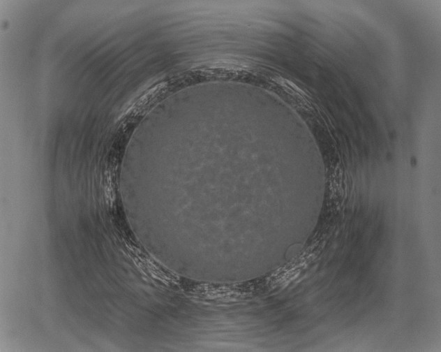 X0000067360774200604071415