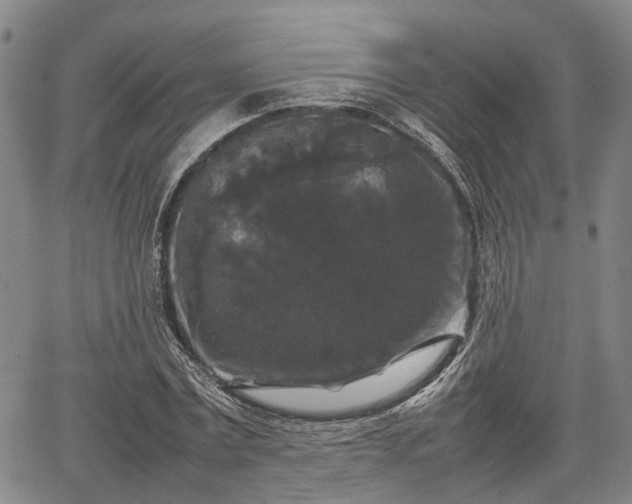 X0000067360779200604071414