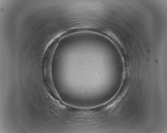 X0000067360781200604071414