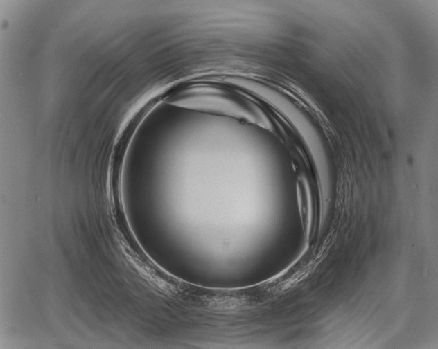 X0000067360788200604071414