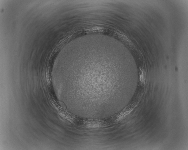 X0000067360819200604071413