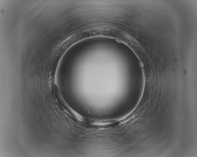 X0000067360822200604071413