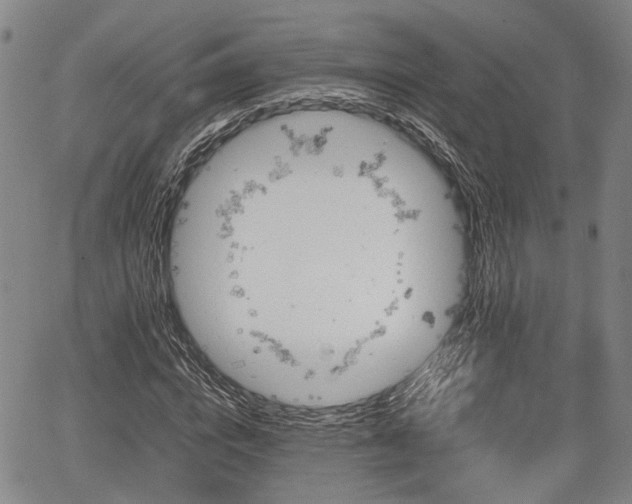 X0000067360824200604071413