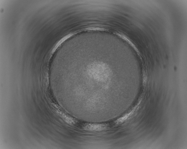 X0000067360829200604071413