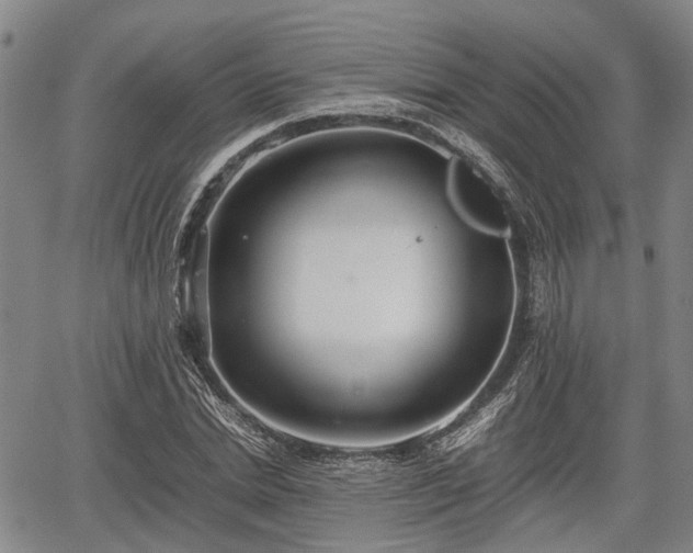 X0000067360830200604071413