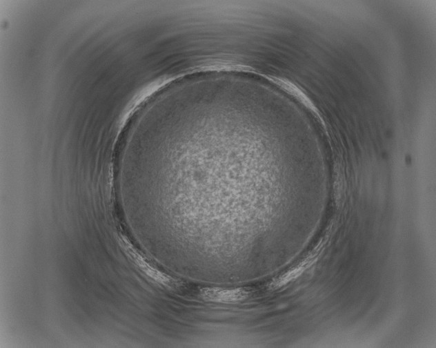 X0000067360831200604071413