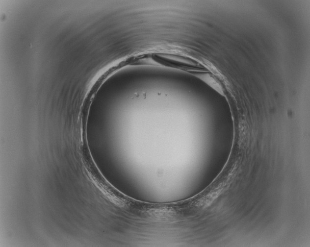 X0000067360838200604071413