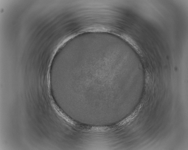 X0000067360840200604071413