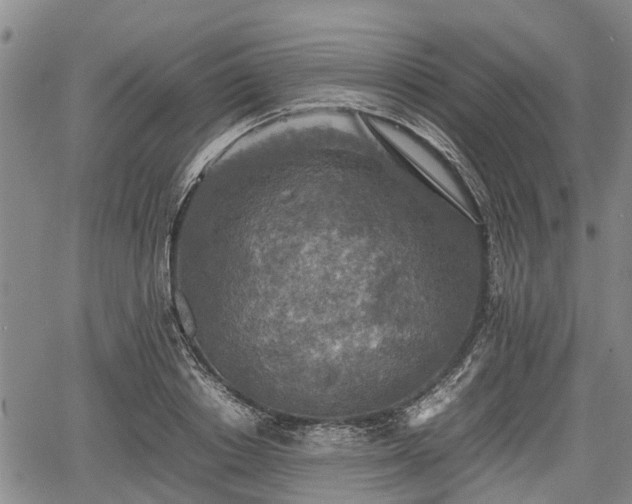 X0000067360842200604071413