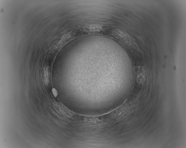 X0000067360866200604071413