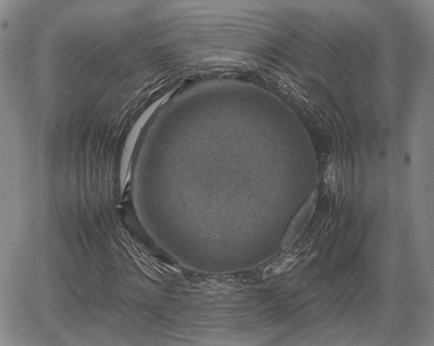 X0000067360868200604071413