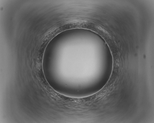 X0000067360869200604071413