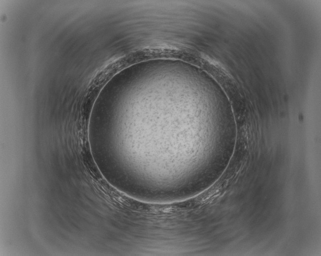 X0000067360870200604071413