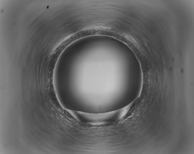 X0000067360872200604071413